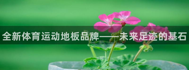 海南3377体育官网下载:全新体育运动地板品牌——未来足迹的