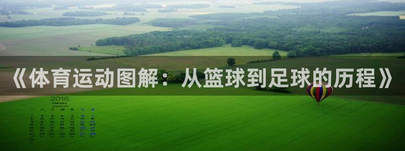 3377体育官网下载平台:《体育运动图解:从篮球到足球的历程
